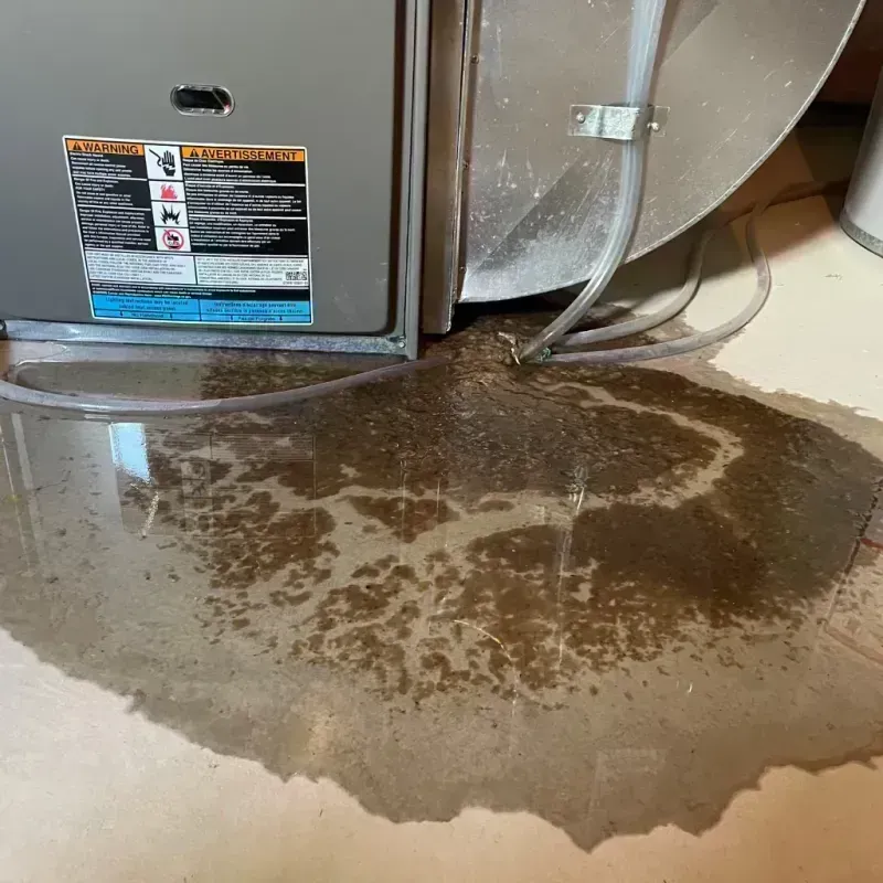 Appliance Leak Cleanup in Rifle, CO